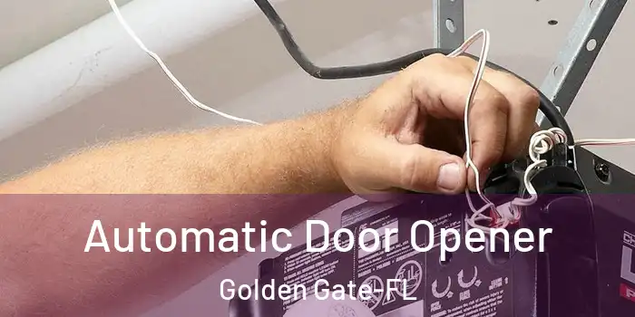  Automatic Door Opener Golden Gate-FL