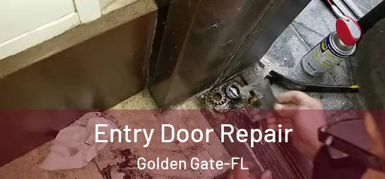 Entry Door Repair Golden Gate-FL