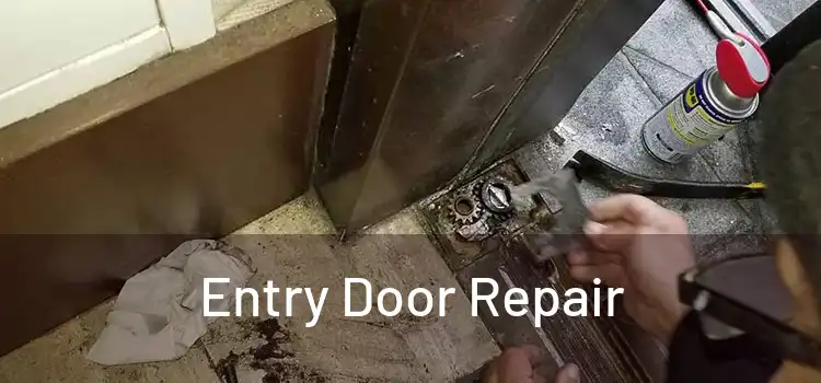 Entry Door Repair
