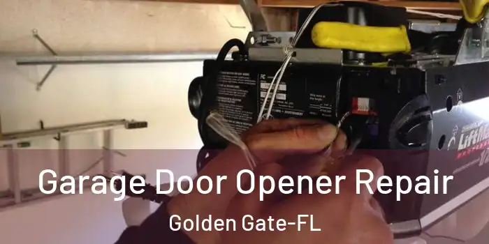 Garage Door Opener Repair Golden Gate-FL
